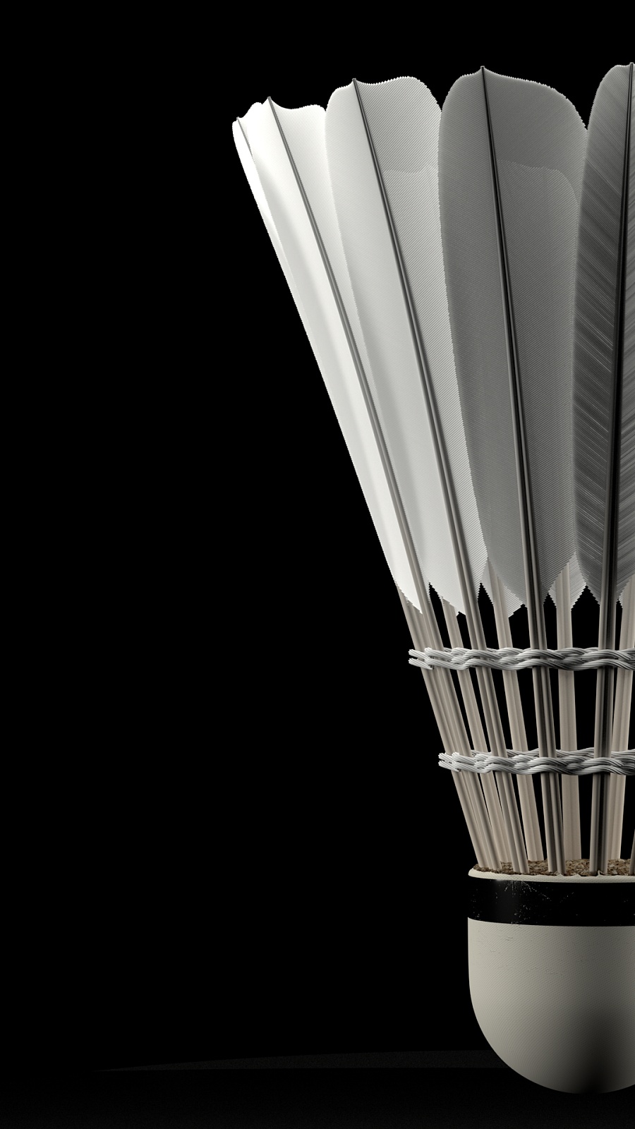 展自己的视 展自己的视